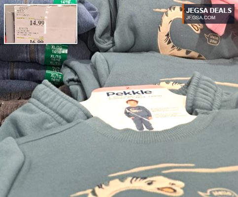 Pekkles 2-piece set for kids with dinosaur design, blue/teal color, from Costco for $14.99.