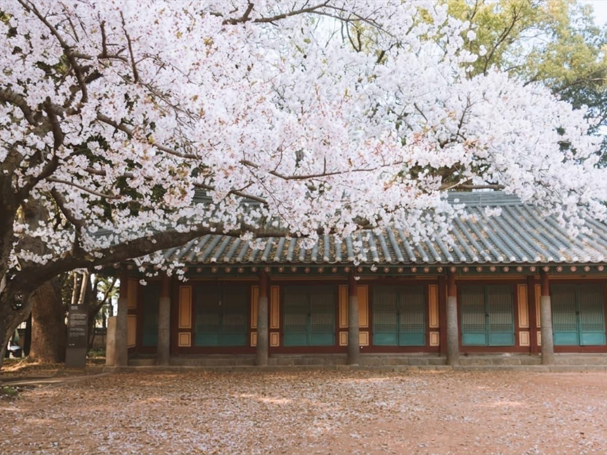 삼성혈