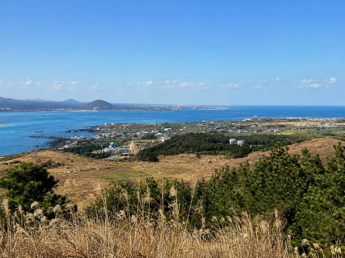 우도