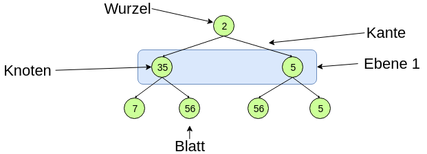 Begriffe eines Baumes