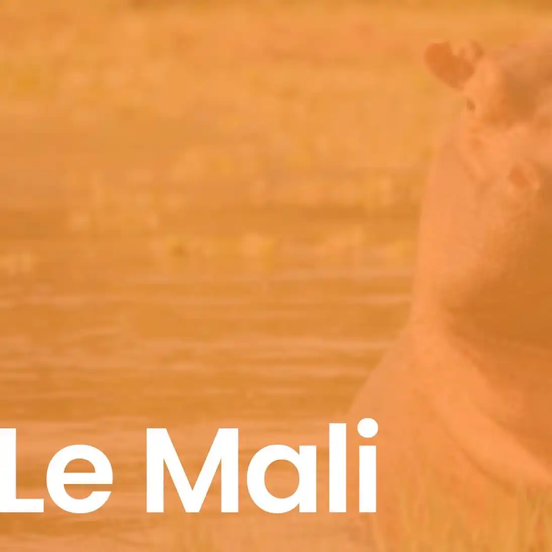 Exposé Lya CM1 Mali