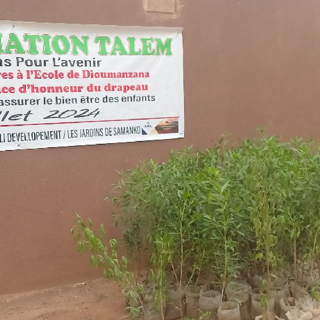 reboisement