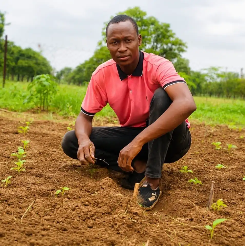 🇲🇱 YIRI AGRI