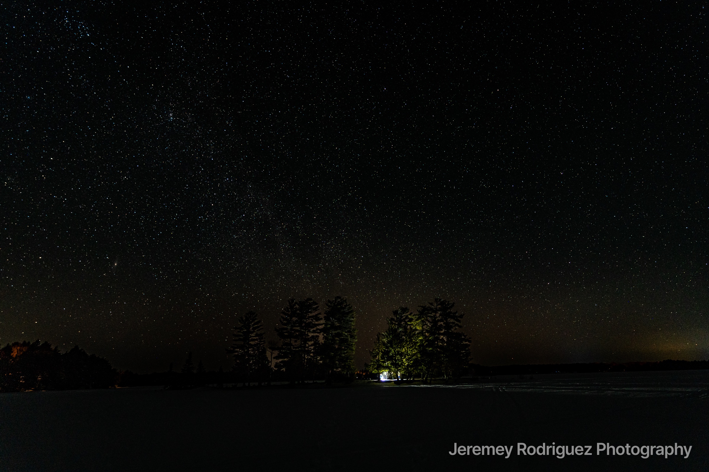 Starry Night Sky Over a Dark Treeline