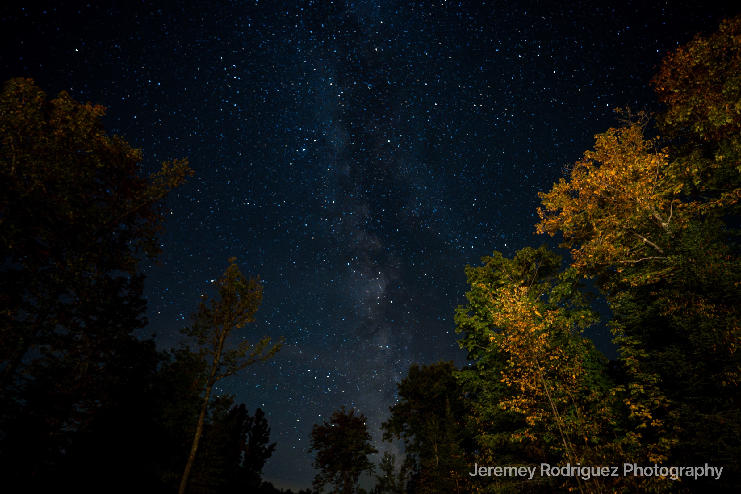 Milky Way Rising Over Autumn Trees