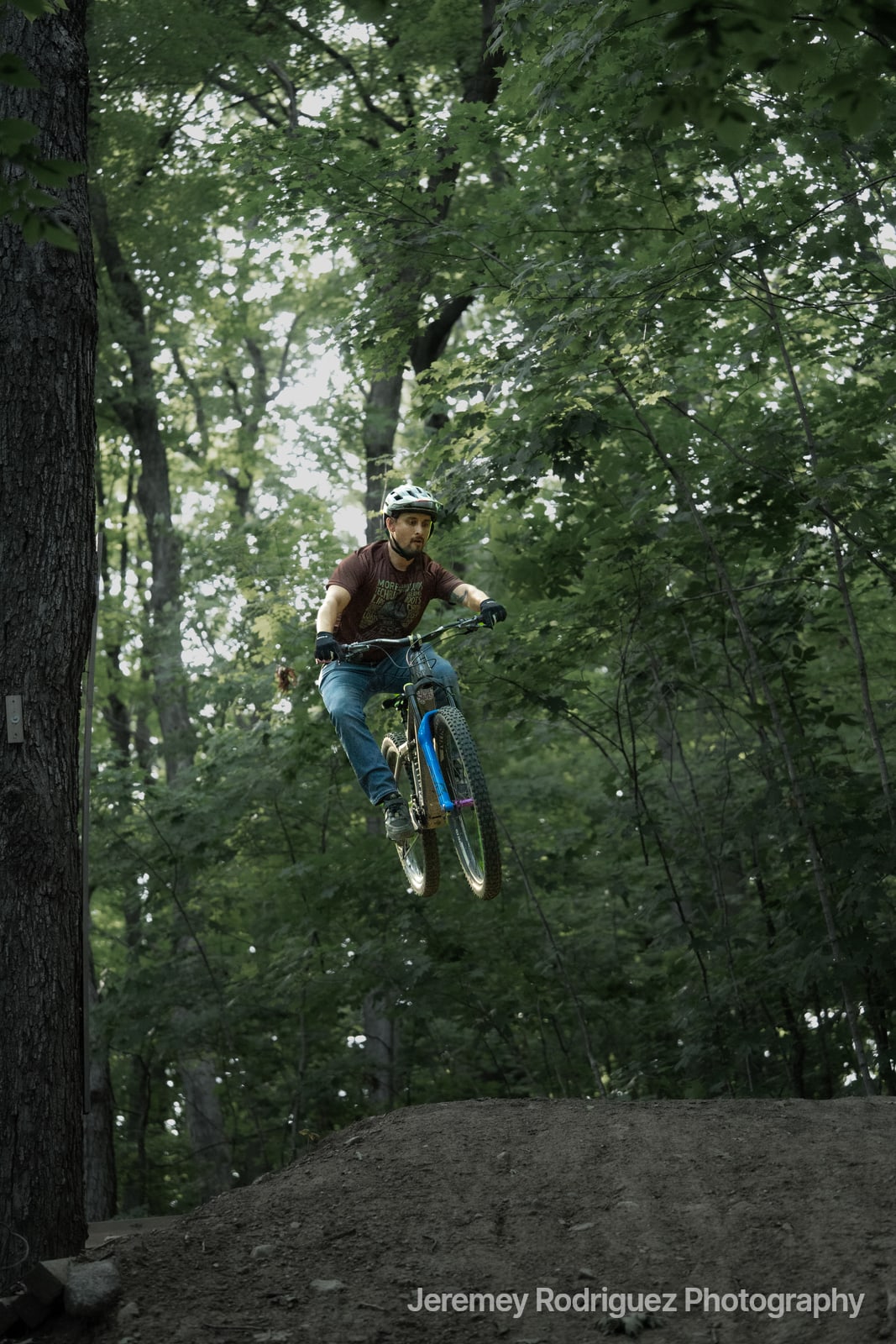 Mountain Bike Jump Through Green Canopy