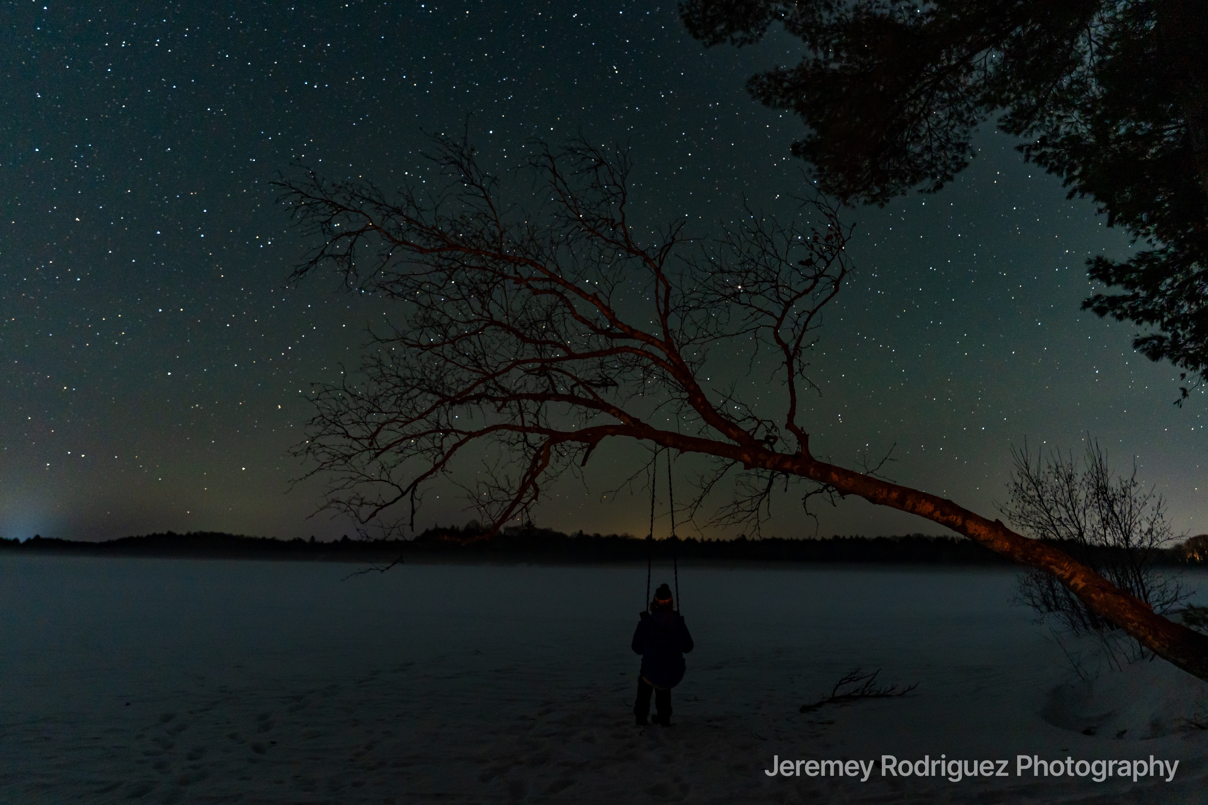 Lone Stargazer Beneath a Leaning Tree