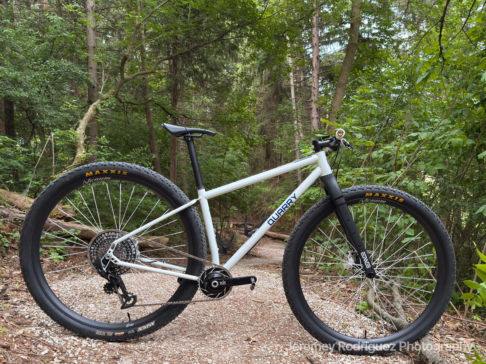 Gravel Bike Portrait on a Woodland Trail