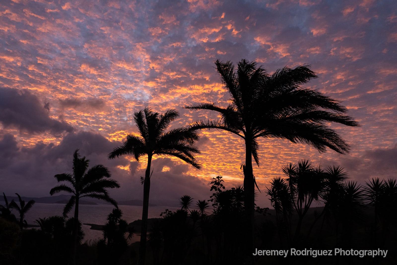 Palm Silhouettes Under a Fiery Dawn Sky