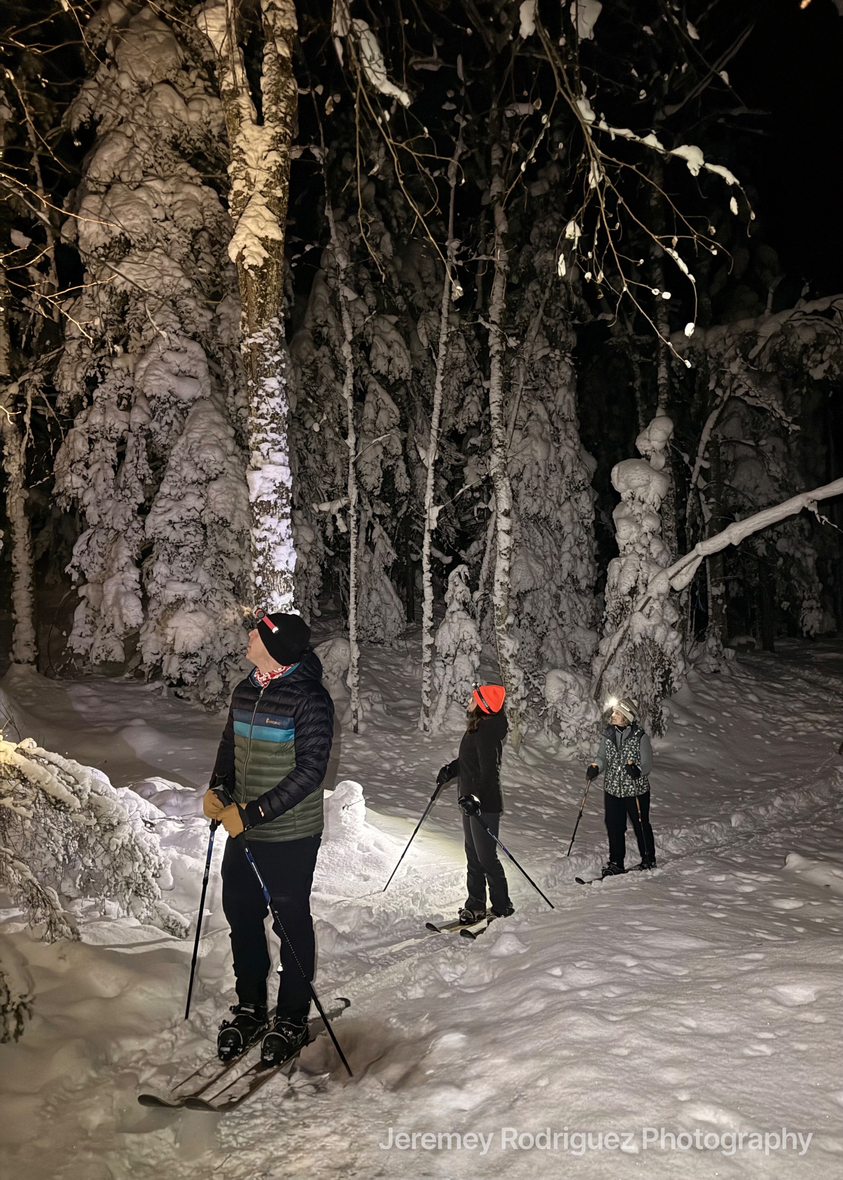 Northwoods Headlamp Ski Through a Snowy Night Forest in Wisconsin