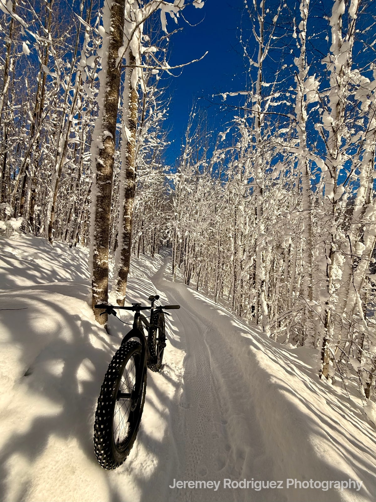 Fat Bike Shadows on a Sunlit Snow Trail