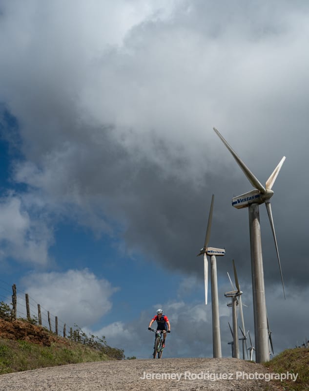 Cyclist Descending Beneath Towering Turbines