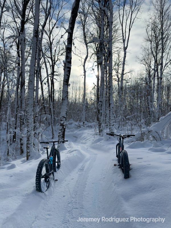 Two Fat Bikes on a Snowy Forest Trail