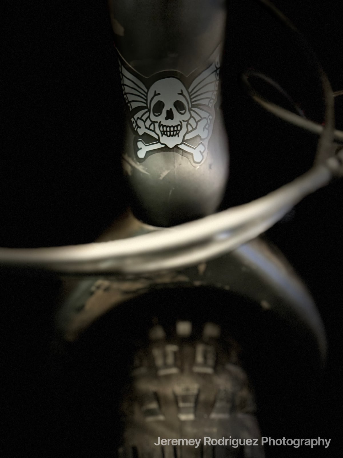 Skull Detail on Fatbike Fork at Night