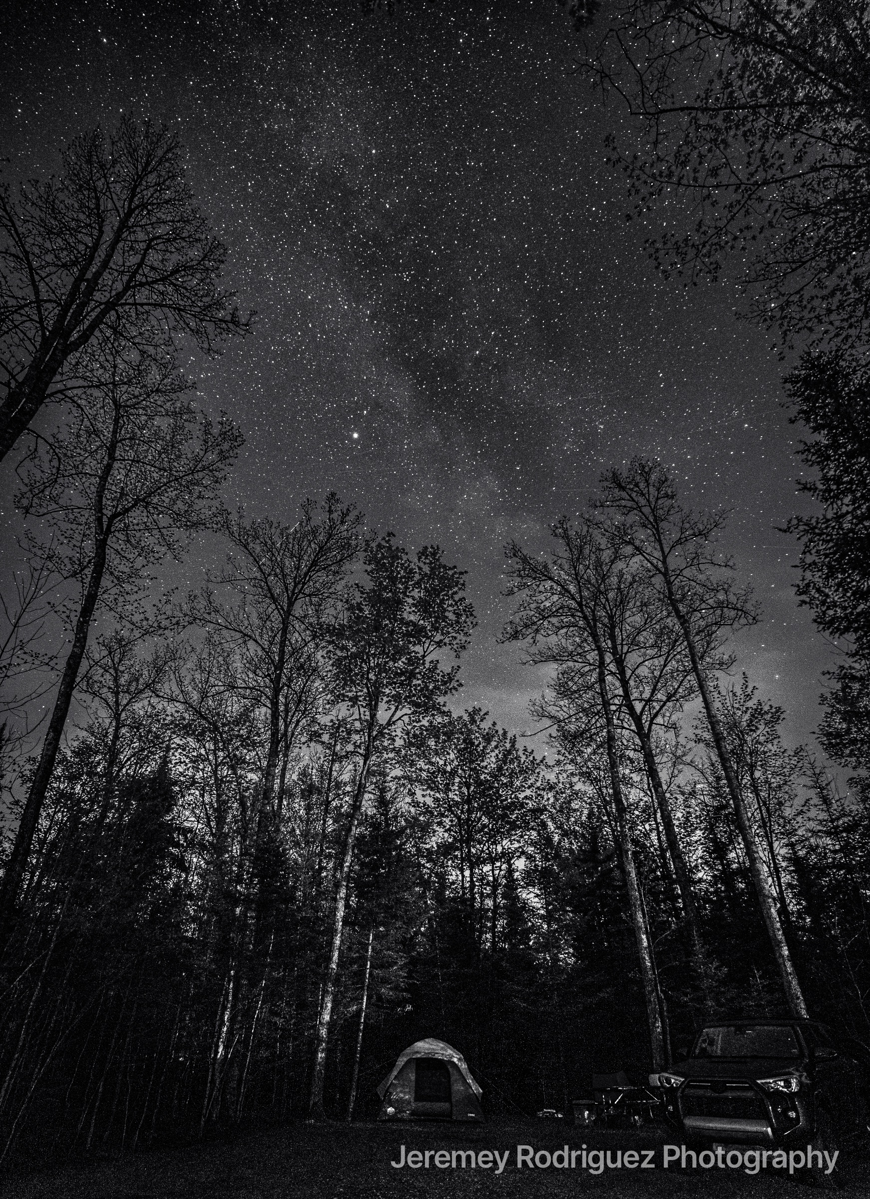 Black-and-White Stars Through Forest Trees