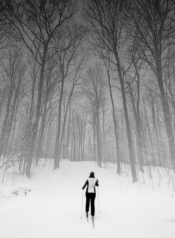 Everyday photo