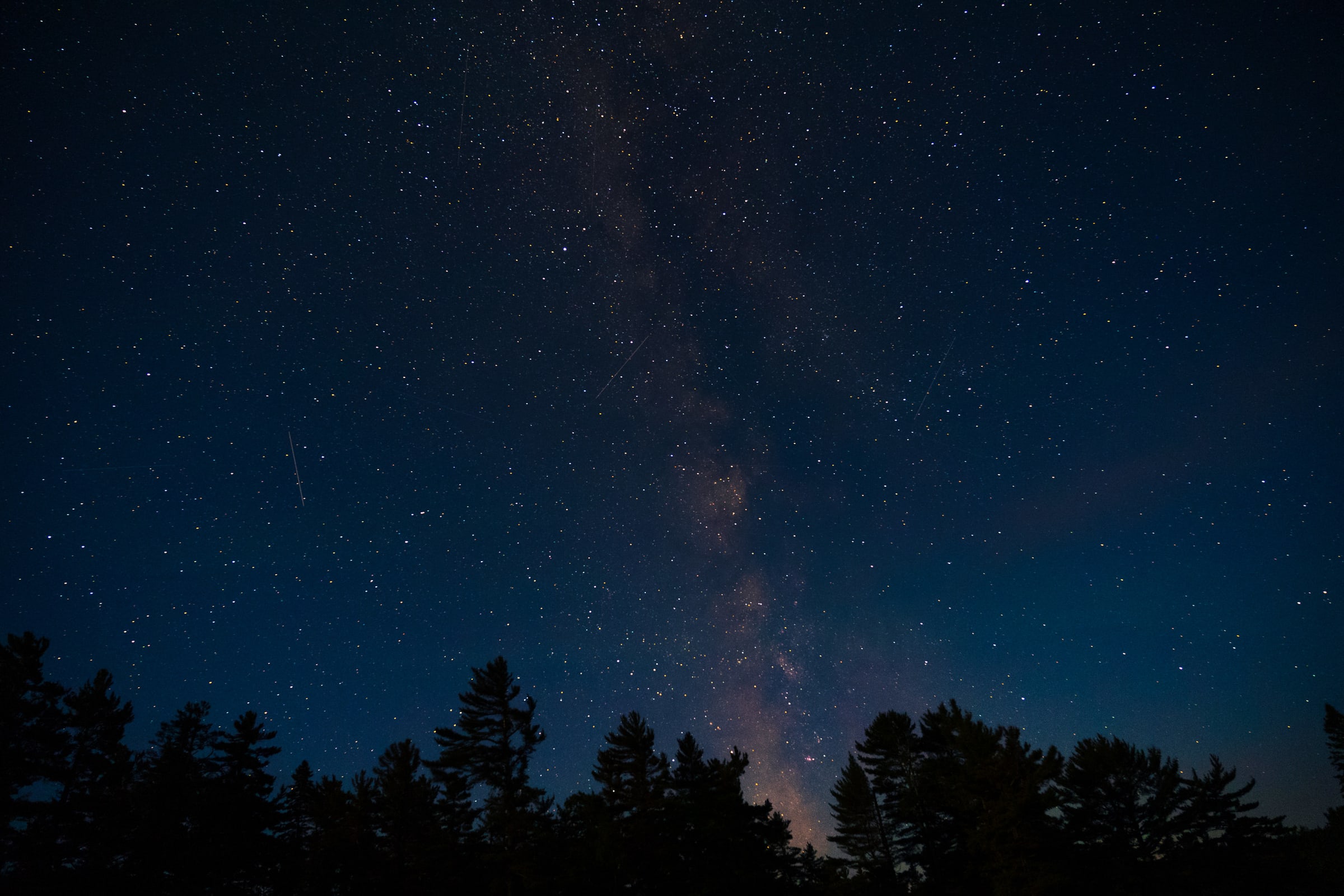 Milky Way Above Pine Tree Silhouettes