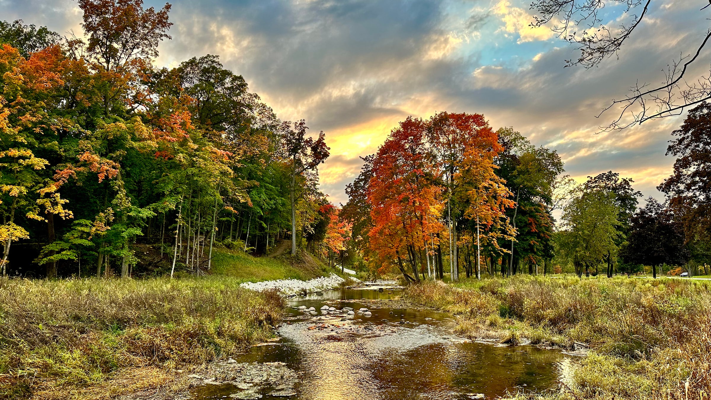 Wisconsin Peak Autumn Colors Along Pike Creek in Kenosha
