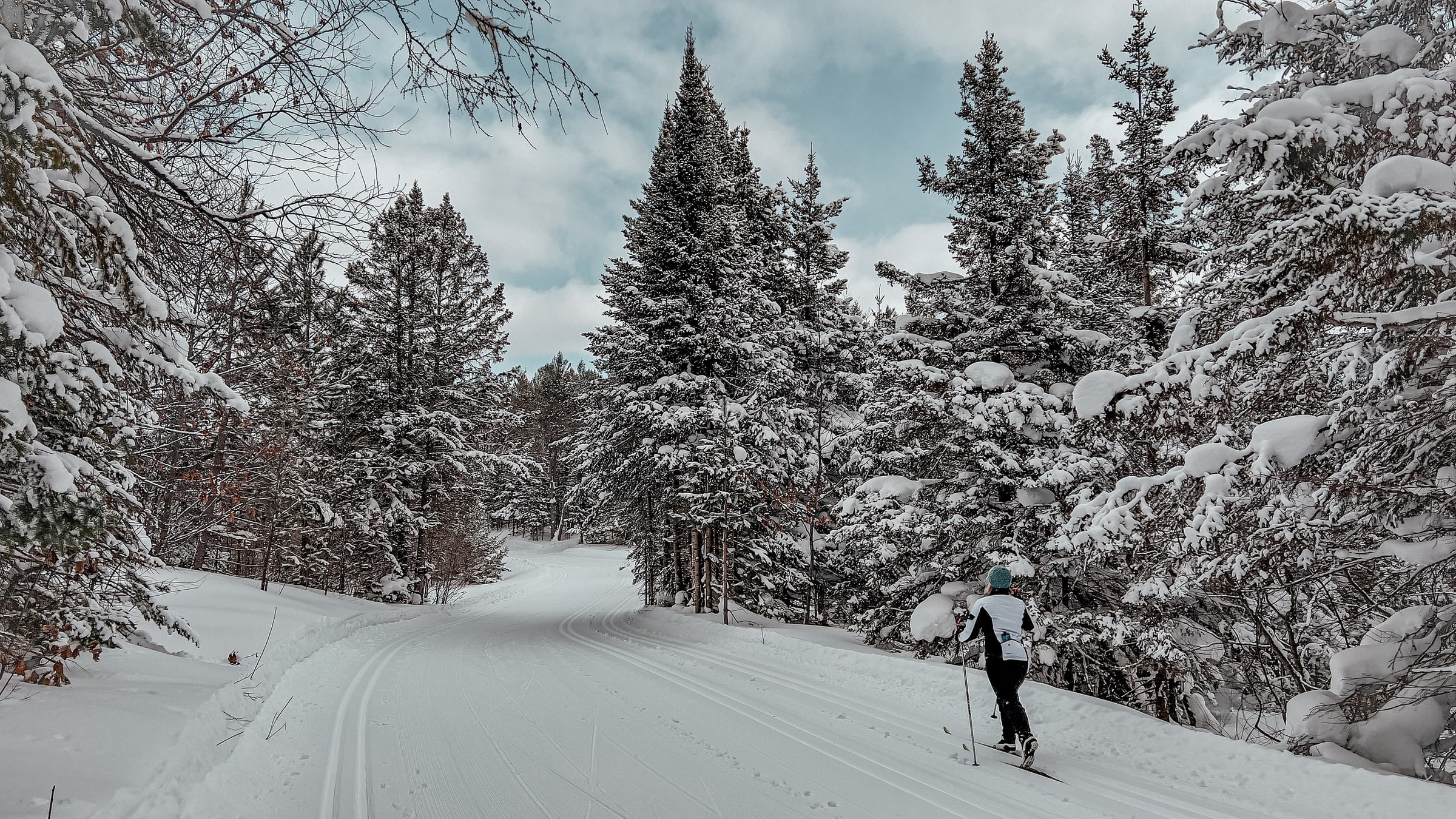 Swedetown Snowy Forest Trail With Lone Skier