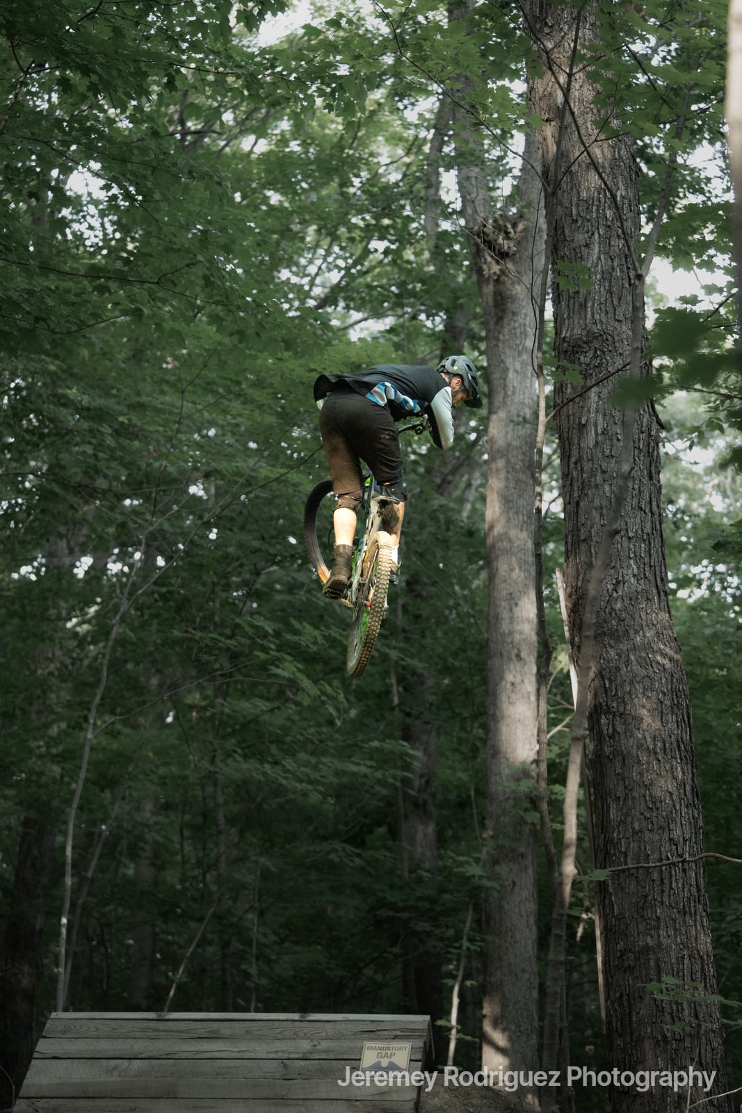 Rider Sailing Over a Forest Gap