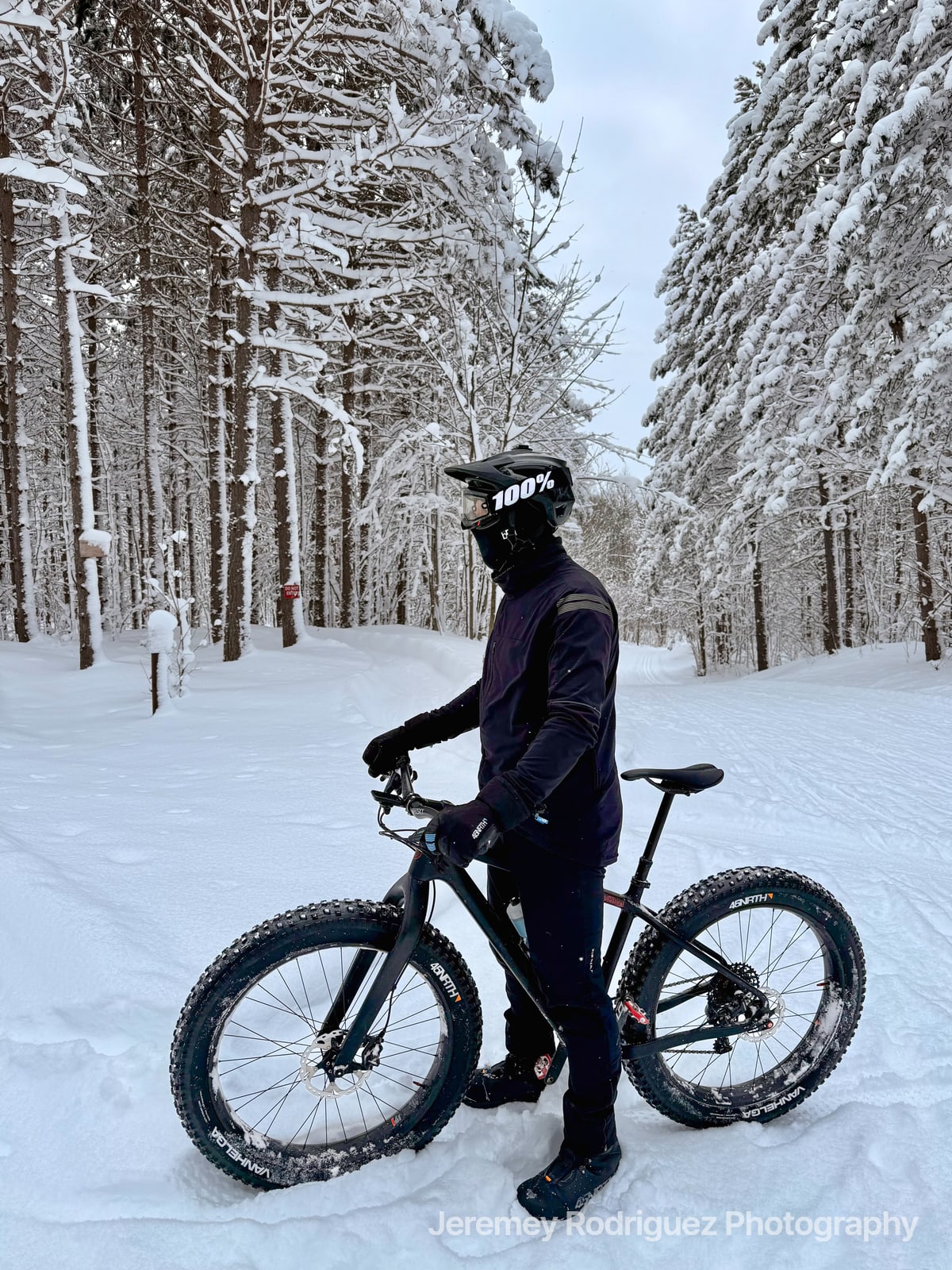 Fat Biker Paused in a Winter Pine Forest