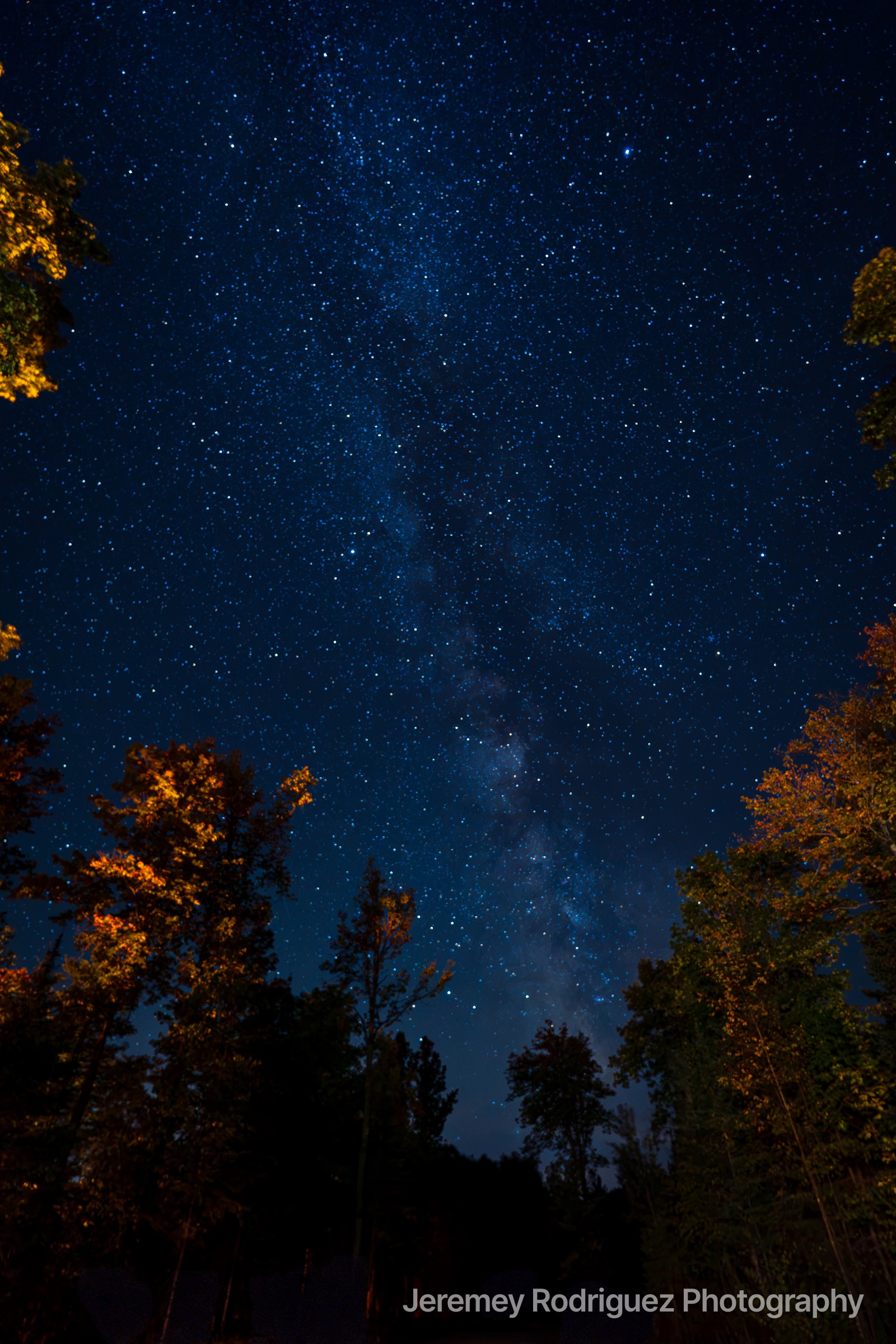 Vertical Milky Way Framed by Fall Foliage