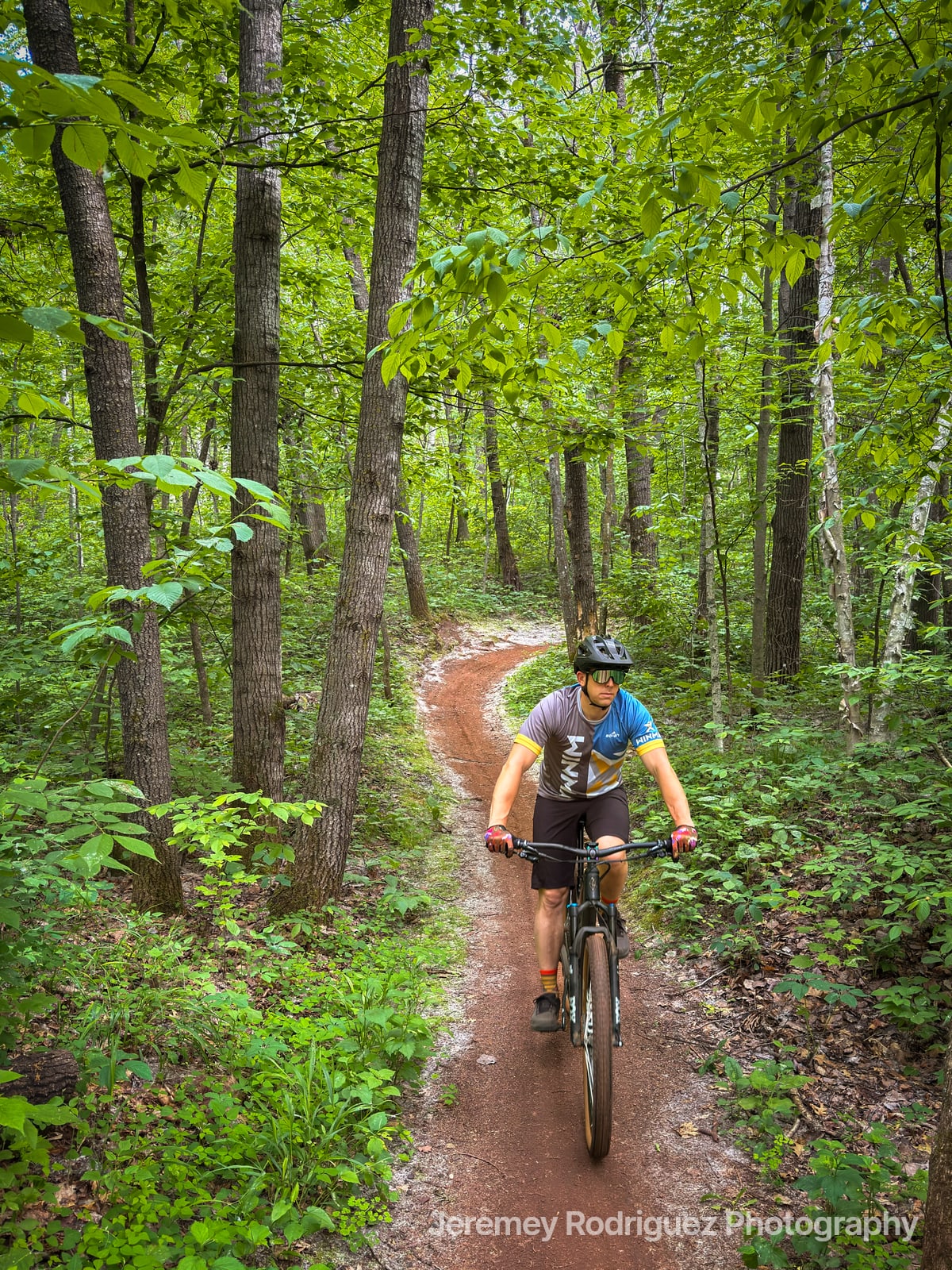 Mountain Biker on Lush Forest Singletrack