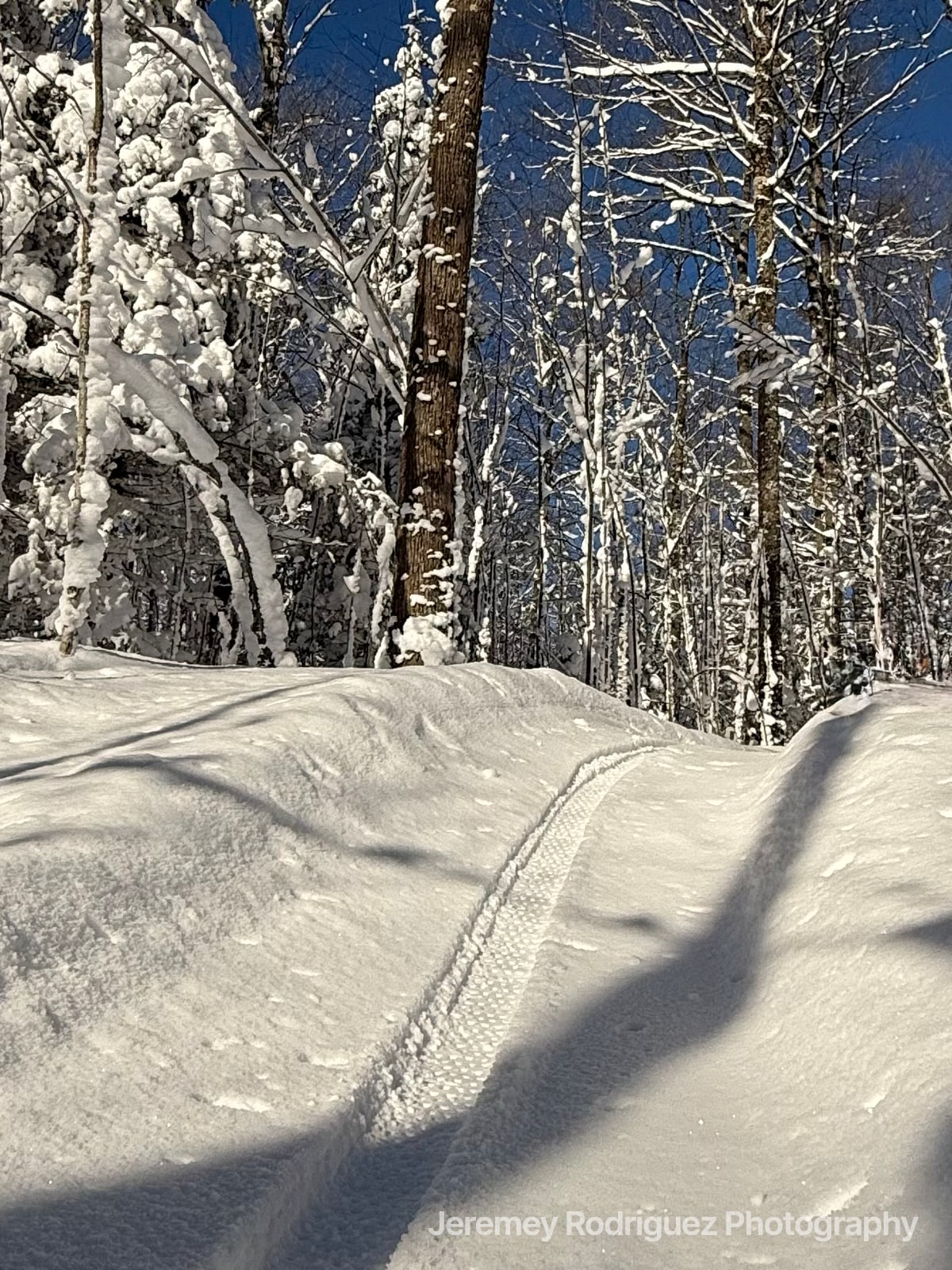 Groomed Winter Trail Through Snowy Woods