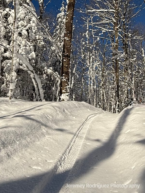 Groomed Winter Trail Through Snowy Woods