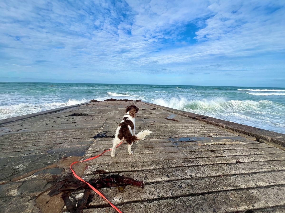 St Ouen's Bay, photographed by Camilla