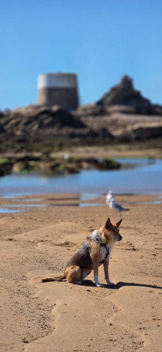 La Rocque / Seymour, photographed by William