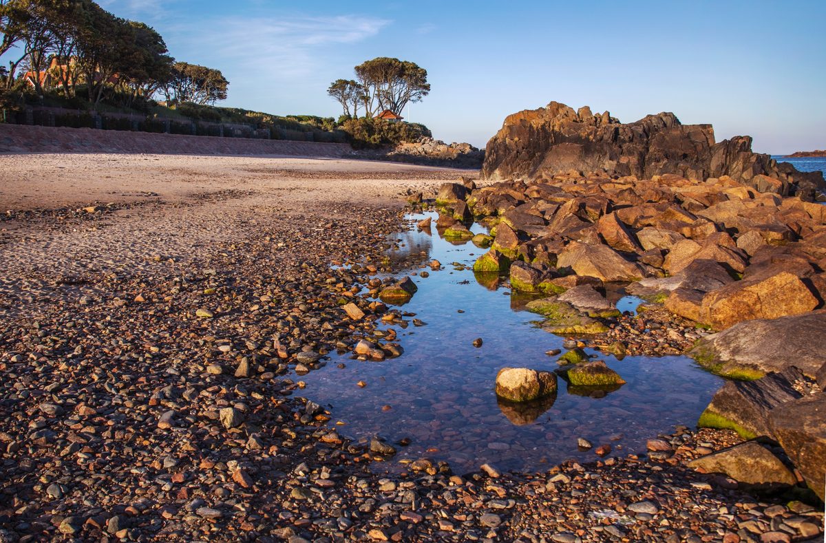 Green Island (La Motte), photographed by Vic