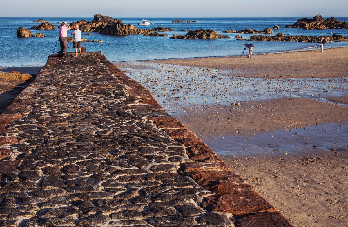 Green Island (La Motte), photographed by Vic