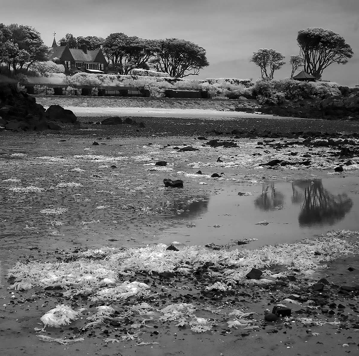Green Island (La Motte), photographed by Vic