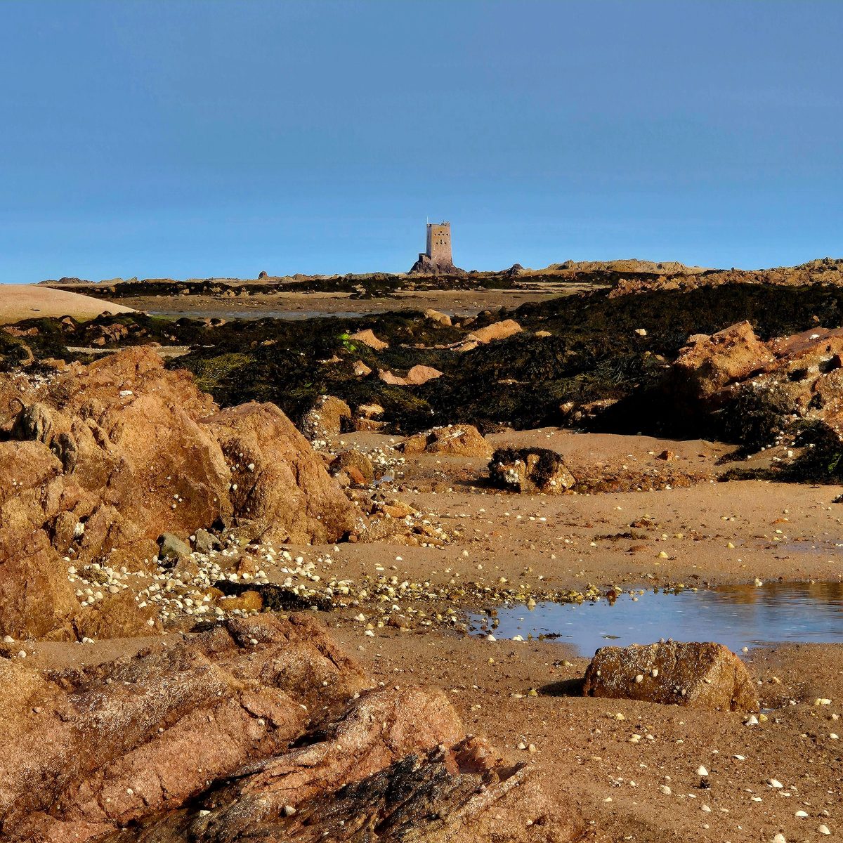 La Rocque / Seymour, photographed by Mary