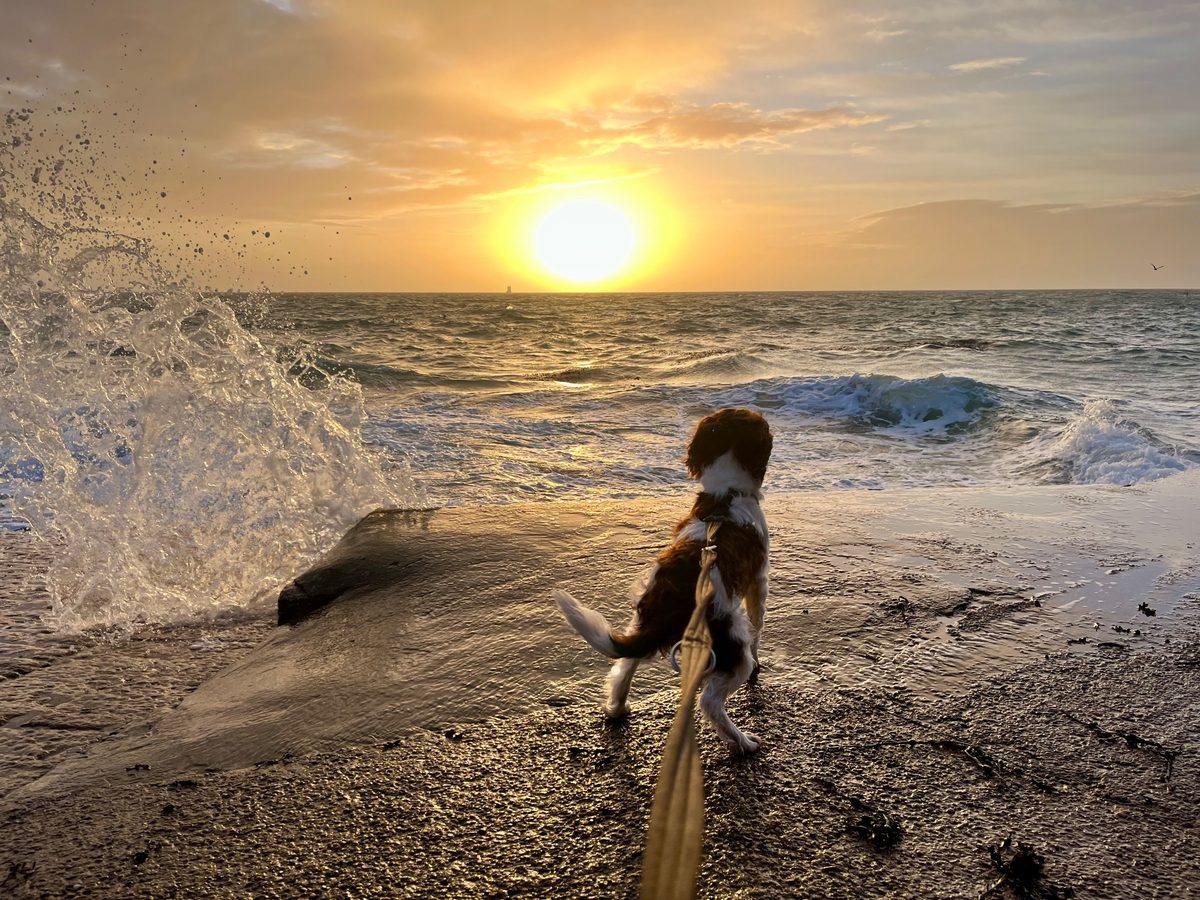 La Rocque / Seymour, photographed by Camilla