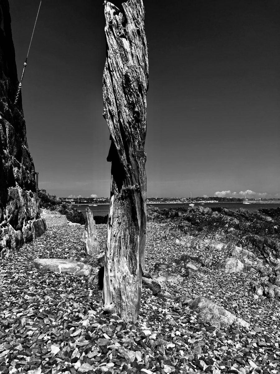 La Rocque / Seymour, photographed by Hey