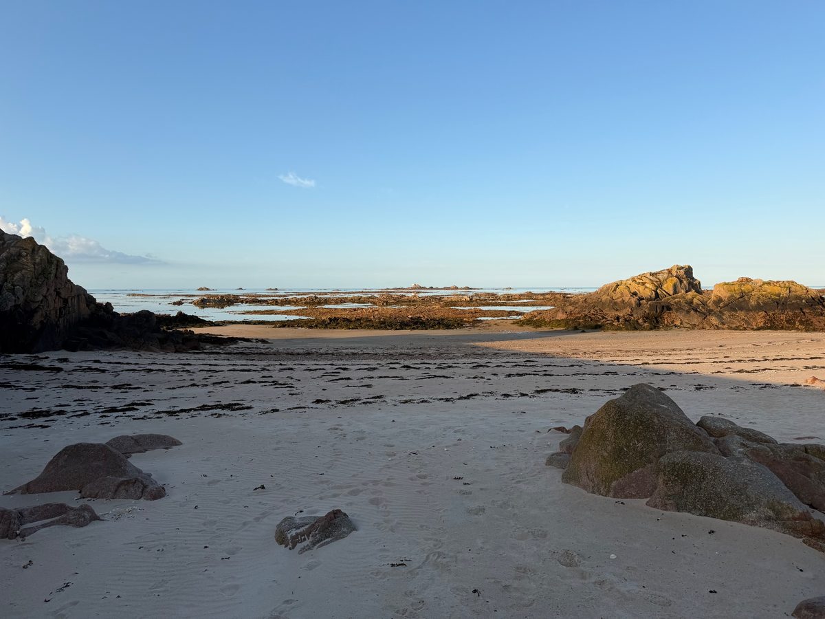 La Rocque / Seymour, photographed by Louise