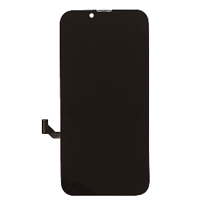 Display Rotto iPhone