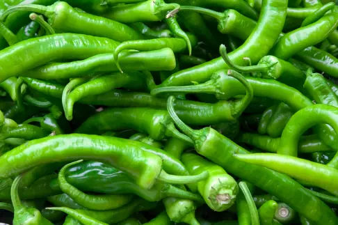 Green Chilli