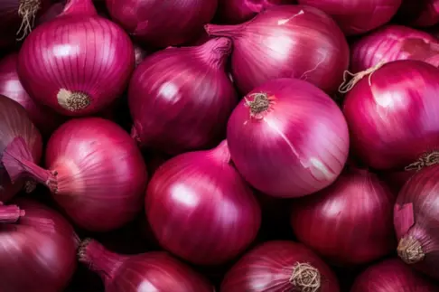 Fresh Onion