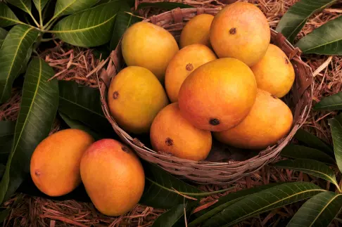 Tropical Fruits