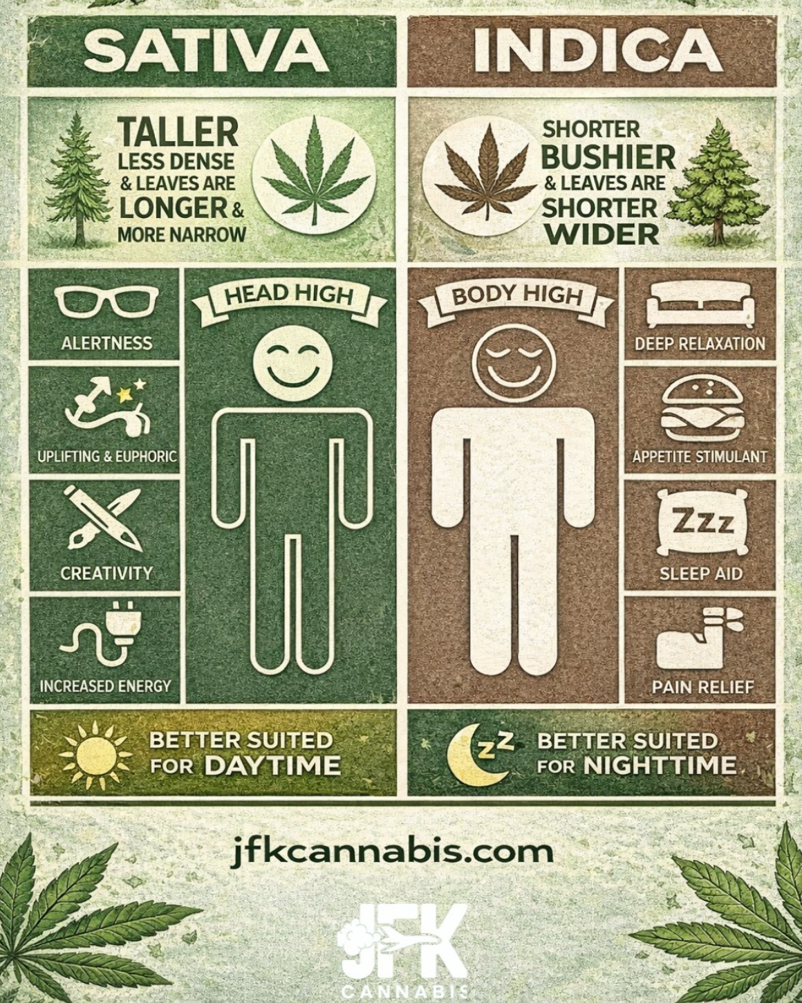 Sativa vs Indica vs Hybrid Cannabis Guide for Flower, Vapes, Edibles & Concentrates