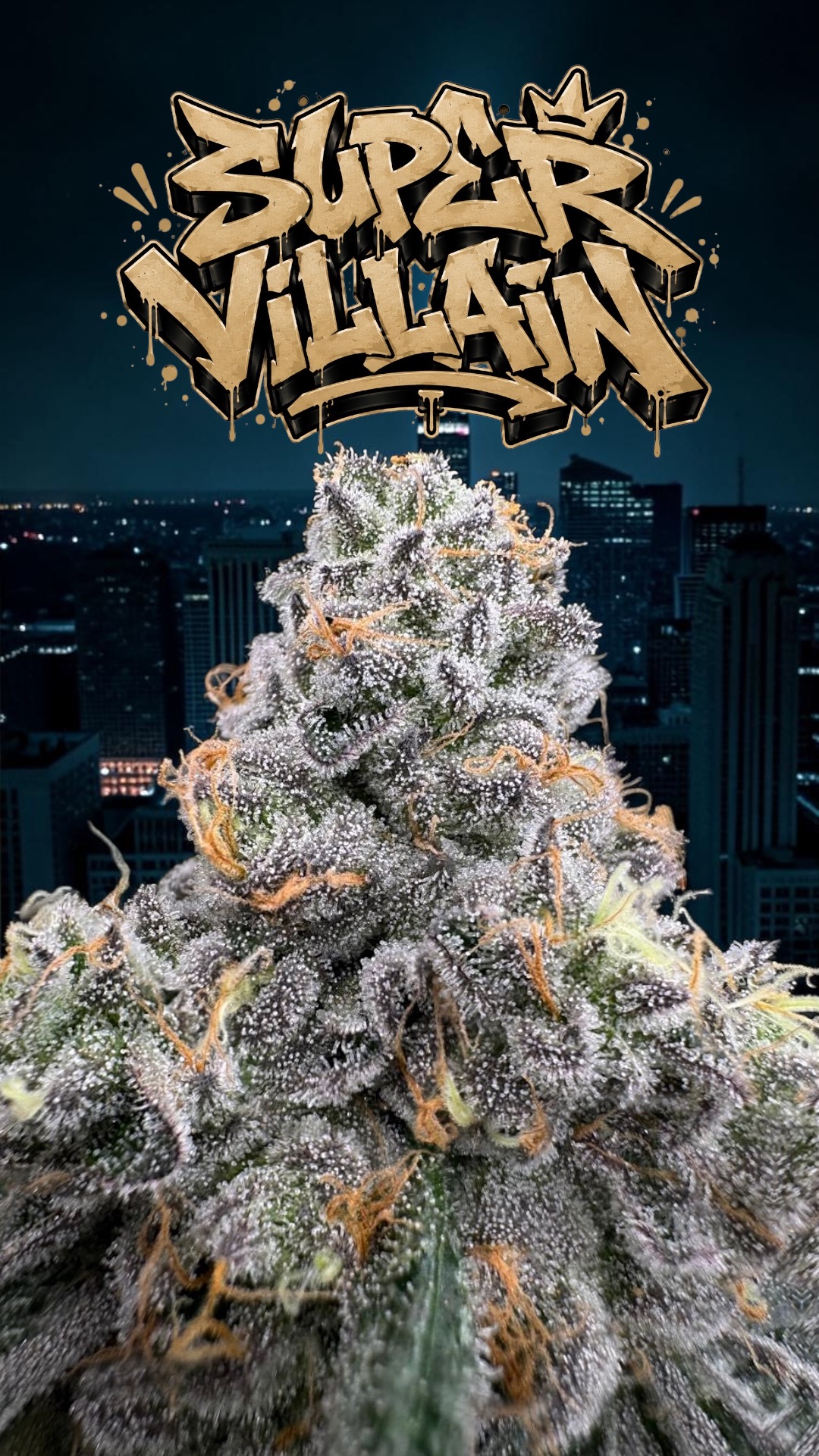 Supervillain Indoor Flower (micro grower) 3.5g