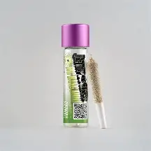 Chernobyl (Sativa) Double Infused single Pre roll - .5g