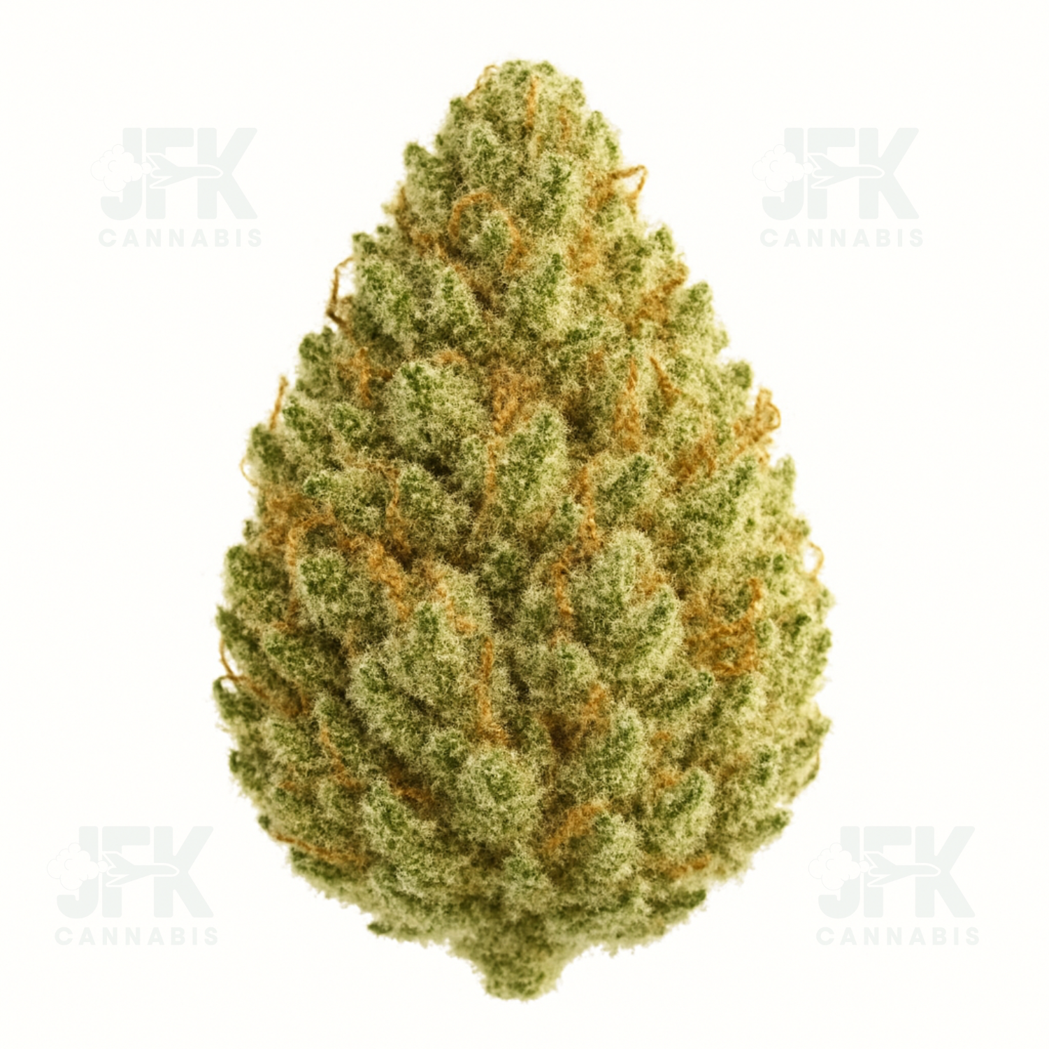 Gov Oasis Flower 3.5g