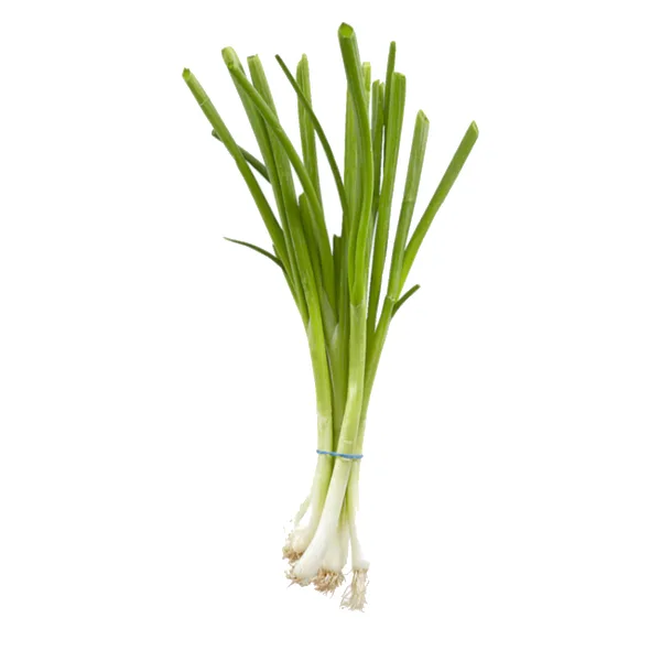 Ciboule
