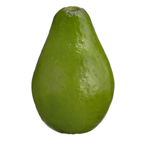 Avocat