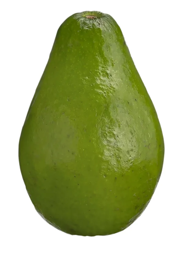 Avocat