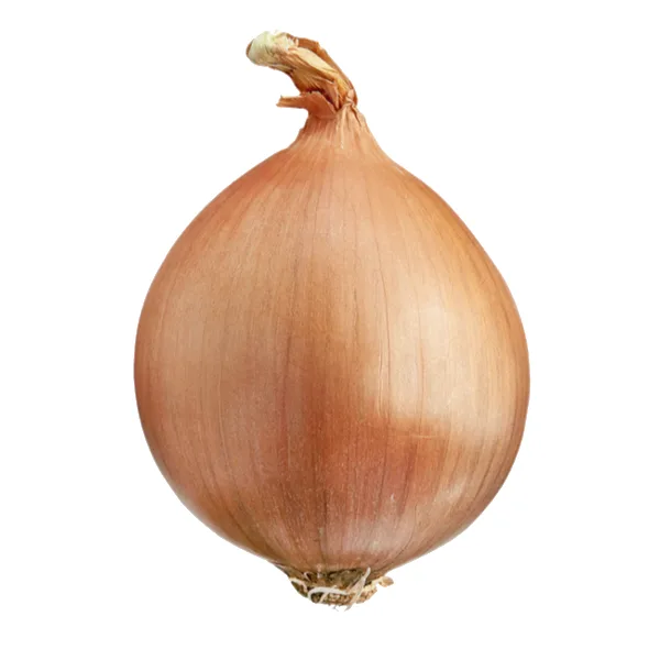 Oignon